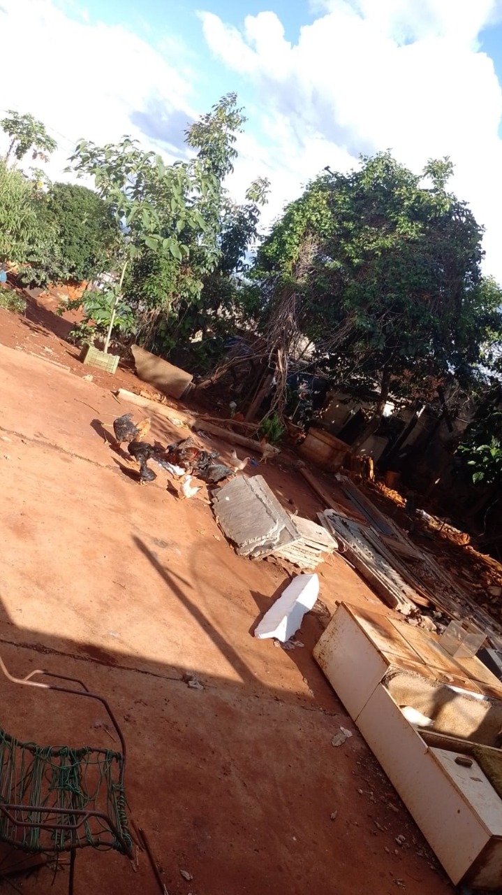 ien66q86388b0k_11762599e834d198