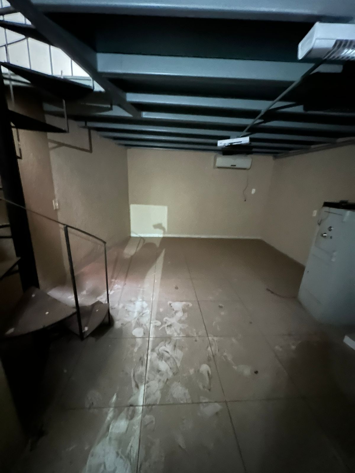 bd6d5232-edad-495c-8b82-099c8b7e3572